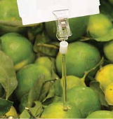 Щипка малка шиш за деликатеси 100мм-черно